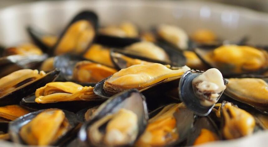 Mejillones con dieta proteica